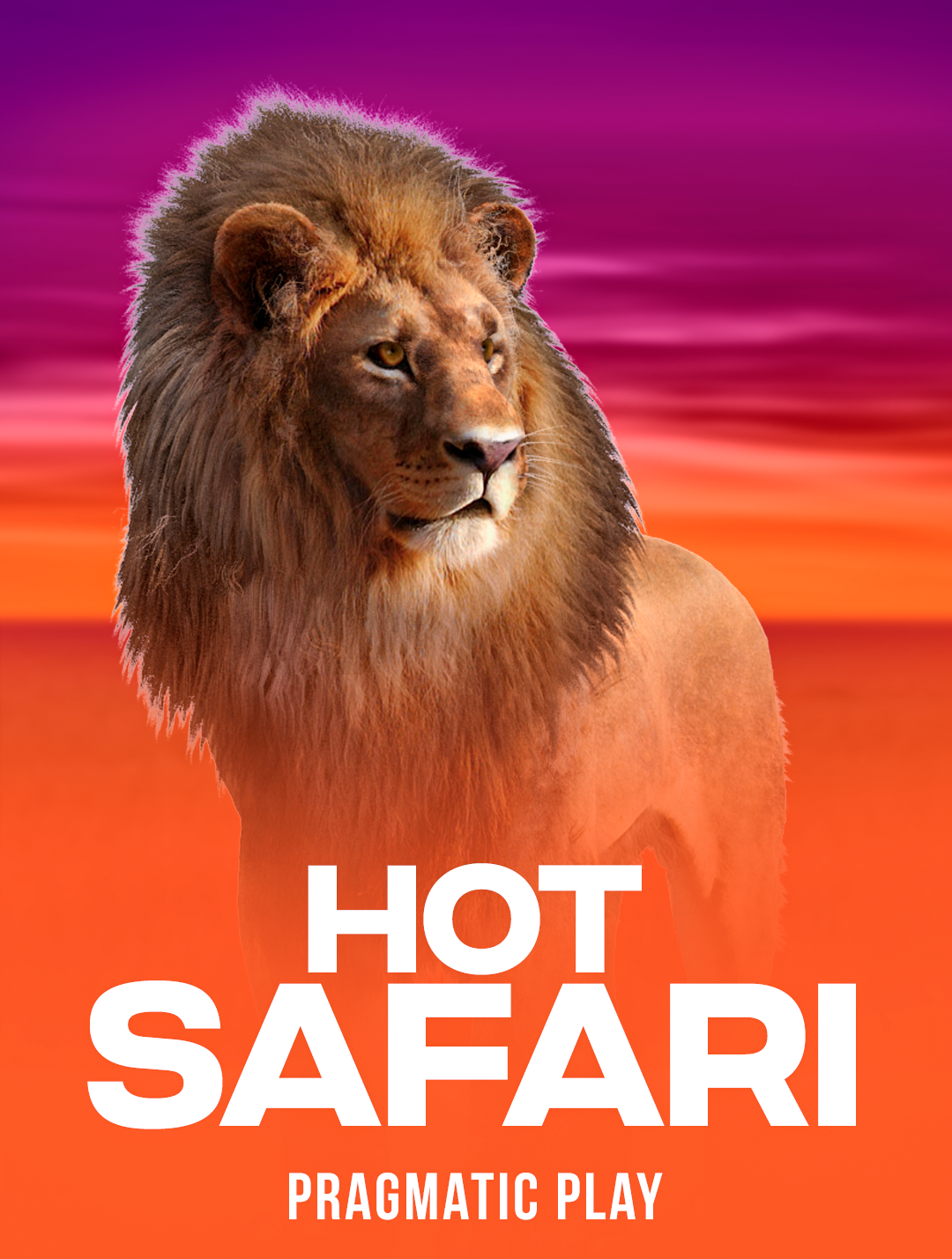 HotSafari
